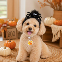 Vêtements personnalisés pour animaux de compagnie : Costume d'Halloween pour chat et chien, Bandeau araignée, Col à volants, Nœud, Tenue de cosplay pour chiot et chaton, Vente en gros OEM