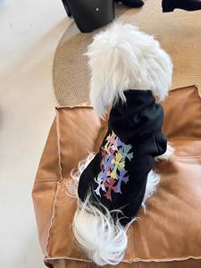 Suéter con Capucha de Lujo al por Mayor, Forro de Felpa de Algodón Sólido, Clásico, Moderno, Ecológico, para Perros Pequeños y Medianos, Invierno - Product Image 3