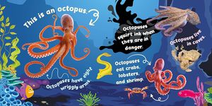 Bán nóng sách âm thanh giáo dục cho trẻ em Bảng âm thanh động vật đại dương 5 nút với bìa cứng làm bằng bìa cứng và giấy nghệ thuật - Product Image 3