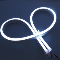 Bande lumineuse à Led avec boîtier en aluminium, adressable individuellement, 50 m, pour la croissance, avec télécommande