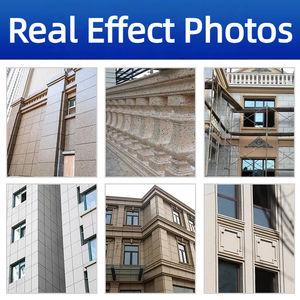 Phoenix Lion Außenwand farbe Beschichtung Wasserdicht Sand-in-Wasser Multi color schafft realistische Kunststein Textur Spray - Product Image 5