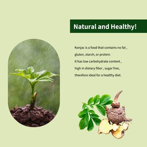 Fideos Konjac Secos con Sabor a <span class=keywords><strong>Avena</strong></span> Orgánica, Naturales, <span class=keywords><strong>Sin</strong></span> Aditivos, Veganos, <span class=keywords><strong>Sin</strong></span> <span class=keywords><strong>Gluten</strong></span>, Bajos en Carbohidratos, <span class=keywords><strong>Sin</strong></span> Azúcar, en Caja - Product Image 2