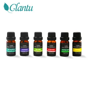 In Stock Natural Pure Essential Oil Gift Set Lavender Peppermint Eucalyptus Tea Tree Aromatherapy Essential Oil
