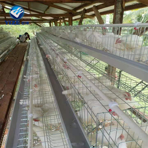 Bán Buôn Nhúng Nóng Mạ Kẽm Xếp Chồng Lên Nhau Lớp Lồng Gà Gia Cầm Coop Máy Móc Chăn Nuôi Gà Xây Dựng Trang Trại - Product Image 4