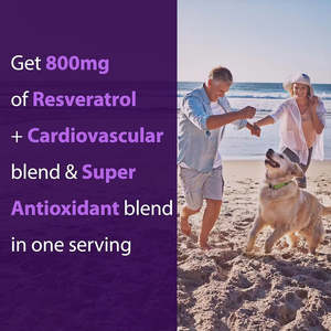 비타홀 프라이빗 라벨 레스베라트롤 캡슐 1600mg 유기농 레스베라트롤 항산화 보충제 유기농 포도씨 추출물 함유 - Product Image 5