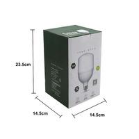Boîte d'emballage de lampe imprimée personnalisée, cartons pliants, boîtes en papier pour ampoule LED