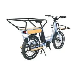 Vélo Électrique Portable de Haute Qualité pour Femmes, Fabriqué en Chine, pour la Ville et le Quotidien, Cadre en Aluminium, Moteur Sans Balais 250/500W 36/48V - Product Image 5