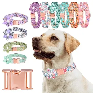 Collares para mascotas Collar de perro con flores extraíbles Letras Perros Productos para mascotas 10 colores - Product Image 1