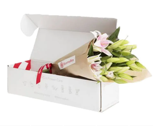 Boîte en carton ondulé d'emballage de graines de plantes pliantes de conception libre personnalisée pour l'expédition de <span class=keywords><strong>fleurs</strong></span> - Product Image 3