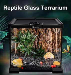 2025 Gute Qualität und heißer Verkauf Reptilien terrarium, 30*20*29cm Reptilien Display Käfig Glas Terrarium - Product Image 2