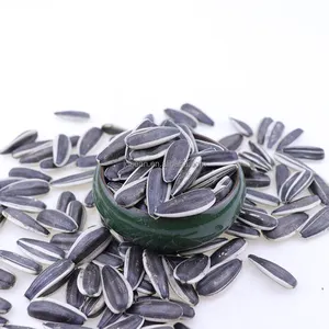 Nihewan cinese ibrido semi di girasole semi di fiore del sole 160-170 semi di girasole 170 t6