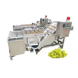 Electric Ultrasonic Fruit Vegetable Washer Water Cleaning Machine For Fruit Garlic Cleaning Machine