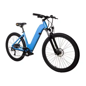 2023 Offre Spéciale bon prix tricycles motorisés vélo électrique Citi