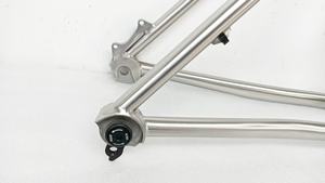 29er Titanium MTB Frame Waltly Handmade pour <span class=keywords><strong>Gravel</strong></span> Riding - Product Image 2