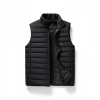 Gilet court matelassé léger et chaud pour homme, collection Automne/Hiver 2026, avec fermeture éclair, 100 % polyester, design tendance et moderne