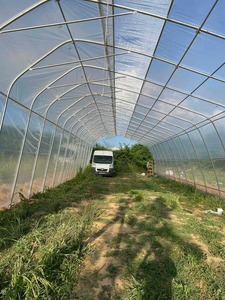 8x20m al aire libre China marco de metal agricultura túnel casa verde fresa invernaderos pasivos solares para la venta - Product Image 6