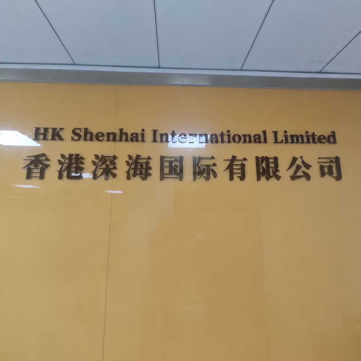 Hong Kong Deep Sea International Limited logo