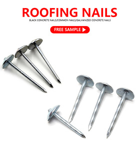 Galvanizli şemsiye kafası çatı çivisi, arduvaz çivileri 2.5 ''xbwg9 - Product Image 5