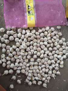 <span class=keywords><strong>Ail</strong></span> frais <span class=keywords><strong>de</strong></span> Chine en sac en filet <span class=keywords><strong>rose</strong></span>, <span class=keywords><strong>ail</strong></span> frais en vrac, <span class=keywords><strong>prix</strong></span> du marché <span class=keywords><strong>de</strong></span> <span class=keywords><strong>l</strong></span>'<span class=keywords><strong>ail</strong></span> blanc - Product Image 6