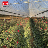 Film plastique PE EVA pour tunnel agricole à diffusion de lumière, pour fleurs, semis, plantes, légumes, baies