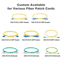 OEM ODM LC SC Fiber Optic Patch Cord Singlemode Simplex Duplex 2m for Data Center Network