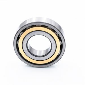 Rodamiento de rodillos esféricos N NJ NU NUP 206 226 305 316 317 318 1024 NU206 NU207 NU310 NU316 NU317 NU318 EC ECML/C3 ECJ ECP ECM - Product Image 2