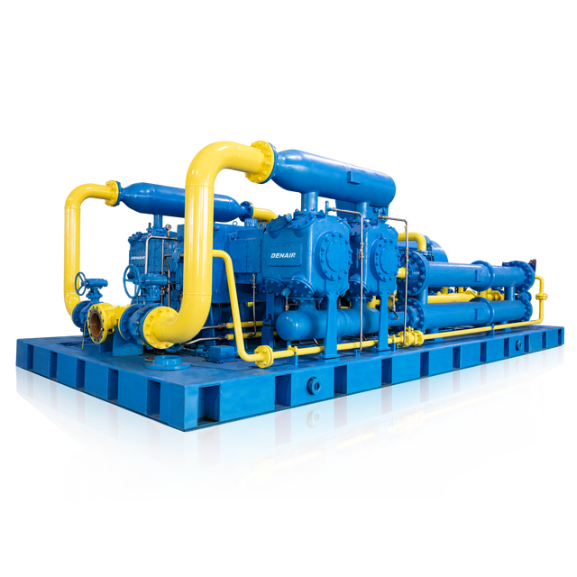 4-stage Compression Suction Pressure 2MPa Discharge Pressure 315Nm3/hour Lubricated Natural Gas Piston Motor Bearing AC Powered