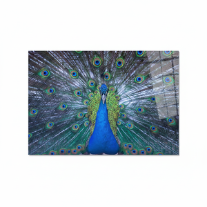 Stained Glass Style Animal Print <b>Canvas</b> <b>Wall</b> Art Decor,TEMPERED GLASS ART - Product Image 2