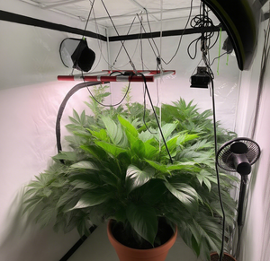 Aglex 240W 3000K IP65 dẫn phát triển ánh sáng cho các nhà máy trong nhà & dọc nuôi cơ thể nhôm nở giai đoạn Dimmable nhện thiết kế - Product Image 2