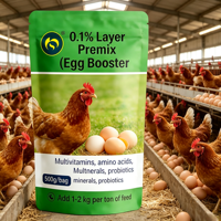 Prémélange Alimentaire pour Poules Pondeuses : Augmente le Poids des Œufs, Stimule la Taux de Ponte, Améliore le Rendement et Prolonge le Cycle de Ponte