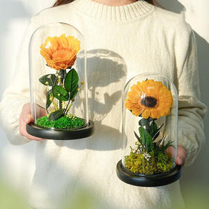 TC Unique, el Girasol Único en Cúpula de Cristal, Flor Preservada de Larga Duración para el Día de San Valentín, Regalo de Aniversario, Decoración del Hogar - Product Image 5