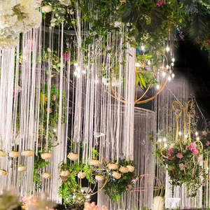 Finestra <span class=keywords><strong>Tende</strong></span> Decorative Attaccatura Variopinta di Scintillio Strings - Product Image 4