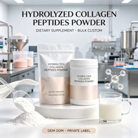 Poudre de peptides de collagène hydrolysé, source pure, supplément de collagène pour adultes, vente en gros, formule personnalisée, service d'étiquetage privé