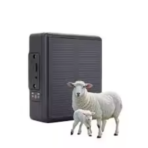 Gps追跡装置動物中国トラッカーRF-V24 + 防水IP67 WIFI牛羊馬ラクダ追跡装置 - Product Image 2