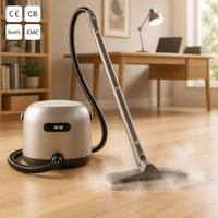 Nettoyeur vapeur professionnel électrique domestique haute pression pour tissus, nettoyage à sec et humide, pour tapis, canapés et voitures