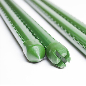 Piquet de Support de plante de tomate en fibre de verre bâton en métal enduit de plastique piquet de treillis de jardin bâton de Support de fleur - Product Image 6