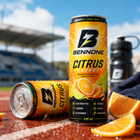 Boisson Énergisante Sans Sucre Série Agrumes Saveur Citron Fruitée Boisson Gazeuse Service OEM ODM