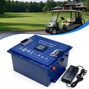 แบตเตอรี่รถกอล์ฟ Lifepo4 คุณภาพสูง 48V 51.2V พร้อมระบบป้องกันวงจร BMS อัจฉริยะ สำหรับโครงการรถกอล์ฟสำหรับนักท่องเที่ยว - Product Image 1