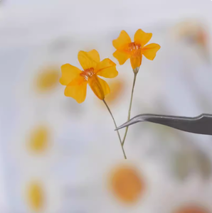 Tagetes ดอกไม้กับสาขา <span class=keywords><strong>DIY</strong></span> ทำพืชธรรมชาติเป็นมิตรกับสิ่งแวดล้อมดอกไม้แห้งกด - Product Image 2