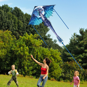 Novedad: <span class=keywords><strong>Cometa</strong></span> de Dragón Volador al por Mayor con Marco y Tela de Poliéster, Regalo para Niños - Product Image 4