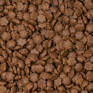 Vente directe d'usine, formules personnalisées de haute qualité, croquettes sèches pour chatons et chats adultes - Product Image 4