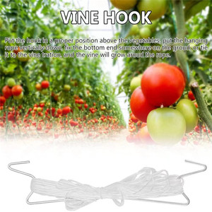 Hot Bán Hàng 22Cm Cà Chua Nho Treo Móc Với 3M 5M 8M 10M 15M 18M PP Twine Cho Dưa Chuột Phát triển - Product Image 3