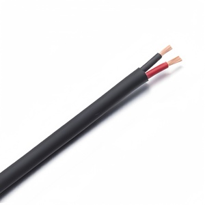 16AWG Câble LED basse tension 2 conducteurs dans le mur/dans la terre PVC chemisé CCA/CU Fil de haut-parleur Câble électrique 16/2 noir en bobine - Product Image 2