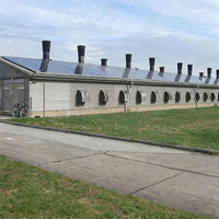 Edificio Prefabricado de Metal para Granjas Avícolas, Estructura de Acero para Cría de Pollos de Engorde y Gallinas Ponedoras, Instalación para Cría de Ganado, OEM ODM EN1090 CE