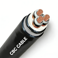 Câble souterrain blindé en cuivre XLPE PVC 6,35/11KV 33kV 3x16 3x25 3x35 3x50 3x70 3x95 3x120 3x150 3x185 3x240 3x300 3x400 SWA