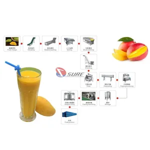 Máquina de línea de procesamiento de zumo de Mango, alta salida, precio de equipo de planta de procesamiento de zumo de fruta