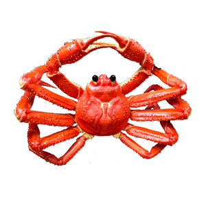 Nhà Máy Hải Quan Kích Thước Lớn 1M 2M Nhựa Đạo Cụ Ngoài Trời Sợi Thủy Tinh Tôm Hùm Tượng Đối Với Thực Phẩm Biển Nhà Hàng Trang Trí - Product Image 6