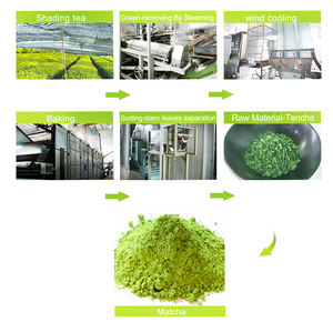 ผงชาเขียวมัทฉะออร์แกนิกเกรดพิธีกรรมคลาสสิกที่ได้รับการรับรองจากสหภาพยุโรป สำหรับขายส่ง คุณภาพพรีเมียม เหมาะสำหรับทุกการใช้งาน - Product Image 6