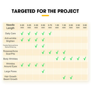 Rouleau Derma en Acier Inoxydable et ABS PAKISS pour Usage Domestique Soins Personnels et Amélioration de la Beauté Visage et Cuir Chevelu - Product Image 4