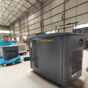 גנרטור דו-דלקי 18kW 20kW מאושר EPA, גז בישול/גז טבעי, לשימוש מסחרי, גיבוי חשמל לחירום ולשימוש יומיומי - Product Image 4